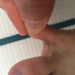 冬の間は収まっている